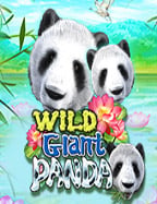 สนุกไม่รู้จบกับการดาวน์โหลด xo slot โหมดทดลองเล่น